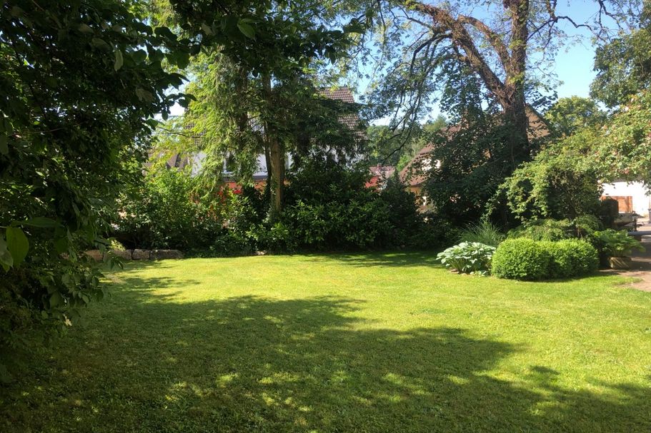 Grüne Wiese mit Strauch- und -Baum-Umrandung, die vor fremden Blicken schützt.